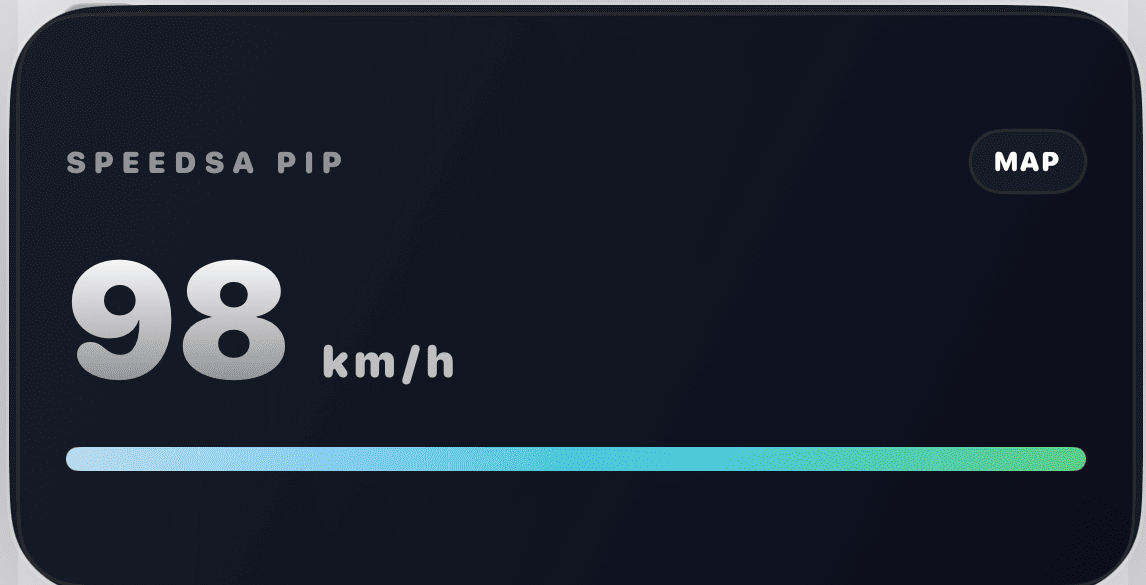SpeedSA picture in picture speed window